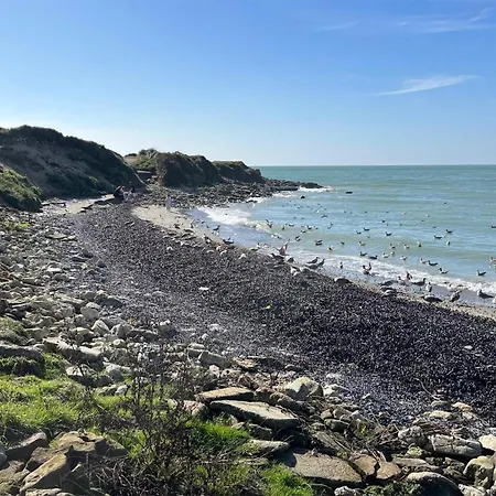 Lovely In With Wifi *